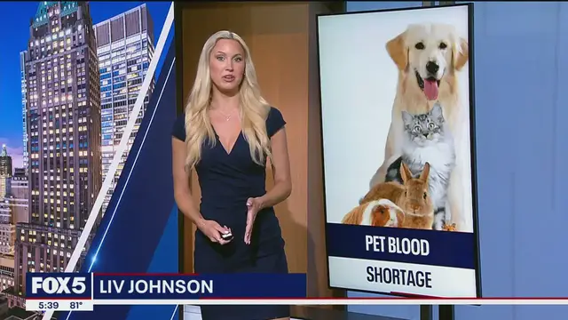 'Video thumbnail for Nationwide pet blood shortage'