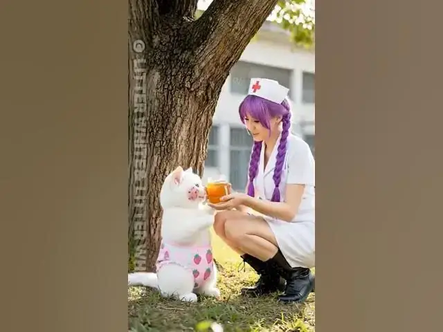 Video thumbnail for Dog: I want honey too. What Happened When the Dog Ran Away from the Bees?#funny #shorts #story