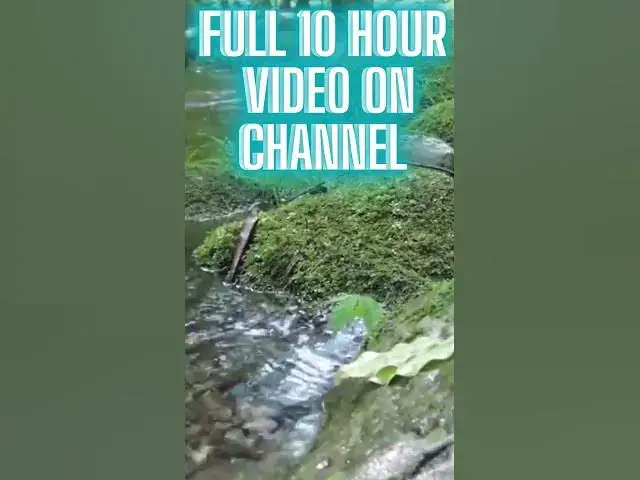 Video thumbnail for Japanese Mountain Stream #relaxing #backgroundmusic #relaxingmusic #stream #japan #asmr #sleep