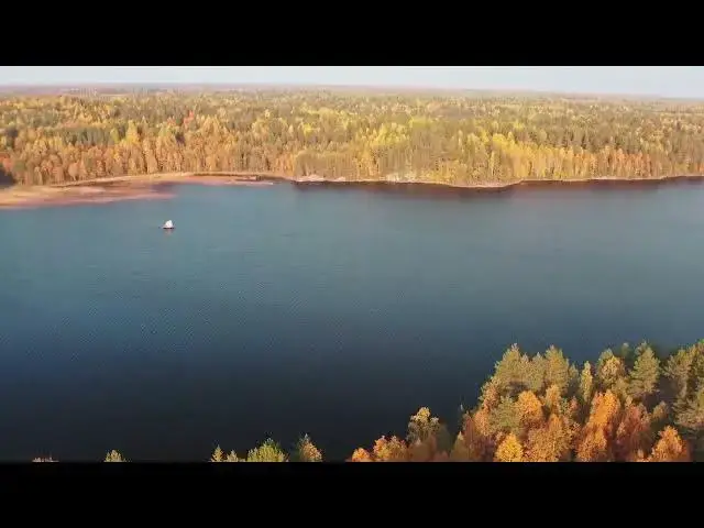 Video thumbnail for Lakeside Trees