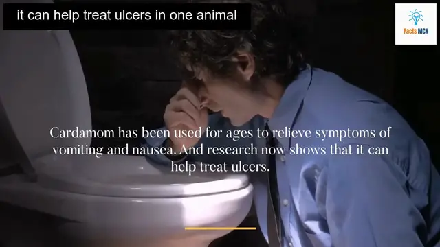 Video thumbnail for Boost Mens Health with Powerful Cardamom Benefits!