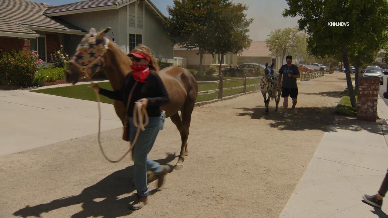Video thumbnail for US, Los Angeles: Simi Valley Sandy Wildfire Part 2.