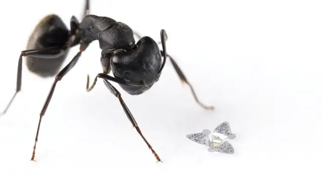 Video thumbnail for Is this the smallest man-made flying machine ever built?