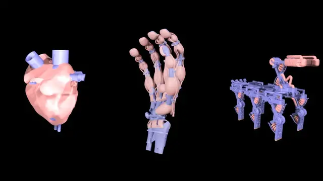 Video thumbnail for A closer look at a 3D-printed robotic hand with ligaments, tendons and skeleton
