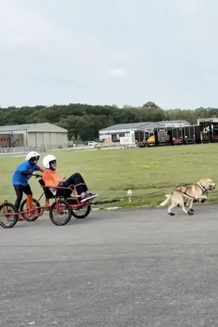 Video thumbnail for Greatest distance for a two-person vehicle pulled by dogs in one minute  568.57 m (1,65.38 ft) by Vickie Pullen and Paul Jameson