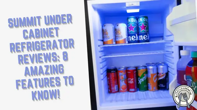 Video thumbnail for Summit Under Cabinet Refrigerator Reviews: 8 Amazing Features To Know!