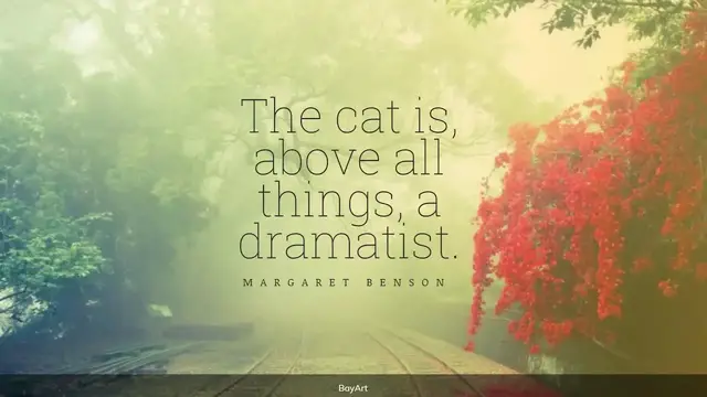 Video thumbnail for 45+ Funny Cat Quotes