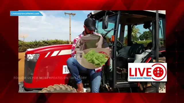 Video thumbnail for Spanish - Is crop insurance worsening the United States food crisis?