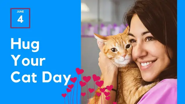 'Video thumbnail for National Hug Your Cat Day : June 4th'
