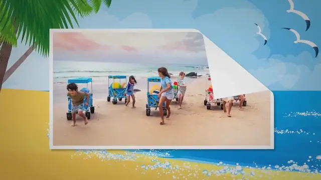 'Video thumbnail for What Makes A Good Beach Cart?'