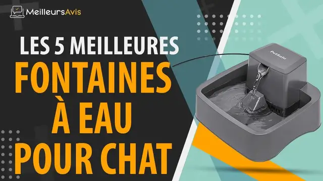 Video thumbnail for ⭐️ MEILLEURE FONTAINE À EAU POUR CHAT - Avis & Guide d'achat (Comparatif 2021)