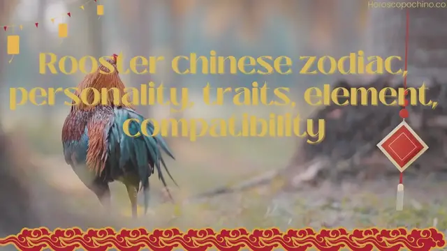 Video thumbnail for Rooster chinese zodiac, personality, traits, element, compatibility