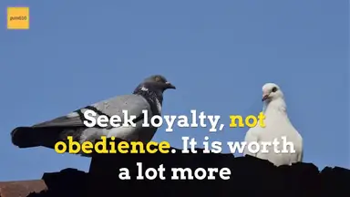 'Video thumbnail for Are You Kind, Helpful, Passionate, Humble and Honest?'