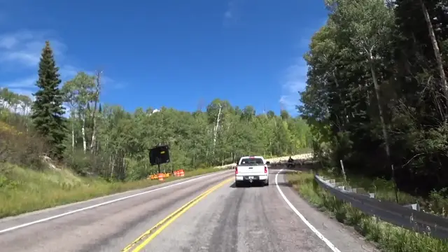 Video thumbnail for Highway Blocked By 2000 Sheep | Wild-ish TV