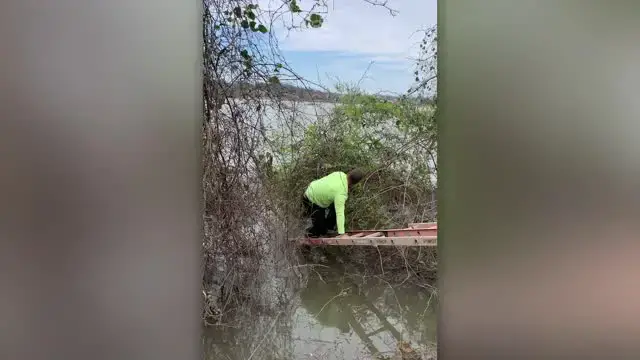 Video thumbnail for Construction Workers Rescue Dog From River | Wild-ish TV