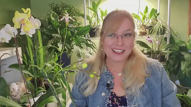 'Video thumbnail for Bud Blast in Orchids'