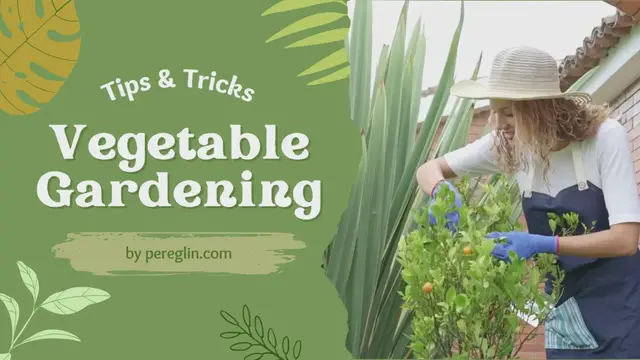 Video thumbnail for Green Natural Gardening Tutorial Intro Video