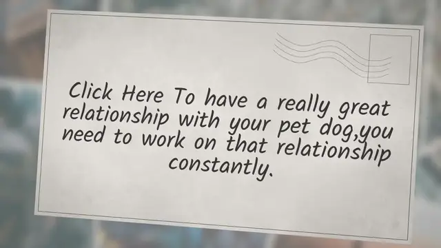 Video thumbnail for Be Your Dog’s Best Friend