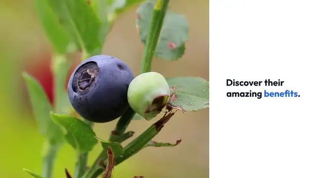 Video thumbnail for Superfoods for Health Benefits