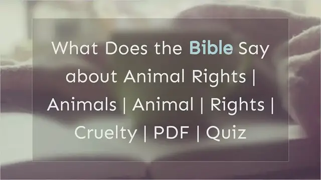 Video thumbnail for bible-lesson-on-animal-rights