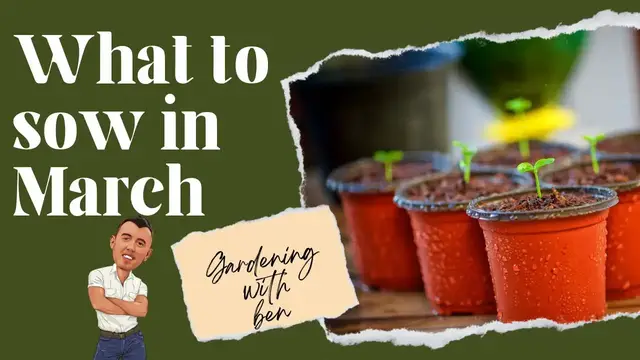 'Video thumbnail for 🎥 ✅ March Gardening Madness 🌸🌱 | What to Sow Now for a Big Spring & Summer Harvest 🌿✨'