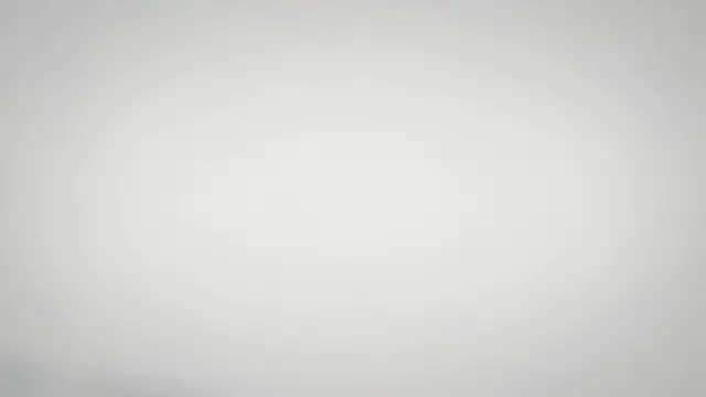 Video thumbnail for Trump ‘The Mob Takes the Fifth Amendment’ Quote