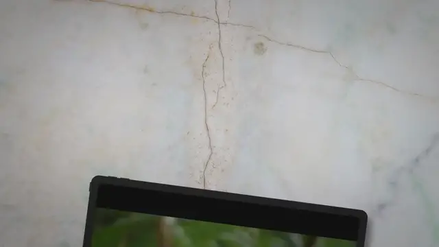 Video thumbnail for The Best Parrots for Beginners to Keep as Pets