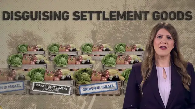 Video thumbnail for Belgium and Netherlands move to block goods from illegal Israeli settlements