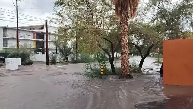 Video thumbnail for US: Hurricane Polo Moisture Brings Heavy Rain and Flash Flooding to Arizona.