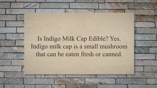 'Video thumbnail for Is Indigo Milk Cap Edible ? ( Yes, They Are )'