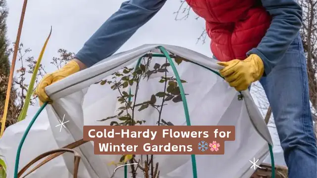 Video thumbnail for Cold-Hardy Flowers for Winter Gardens ❄️