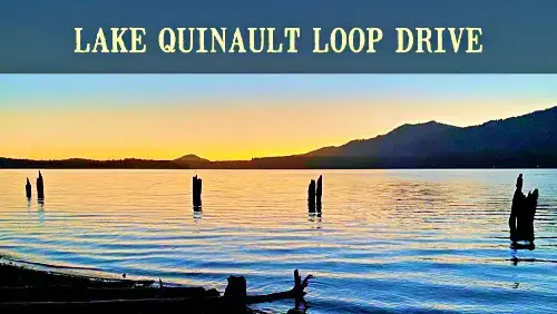 Video thumbnail for Lake Quinault Loop Drive: A Complete Guide
