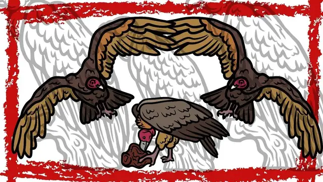 Video thumbnail for Turkey Vulture (Cathartes Aura) Video | Turkey Vulture Sound | Turkey Vulture Call | Vulture Hissing