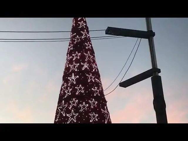 Video thumbnail for Outdoor Christmas Tree