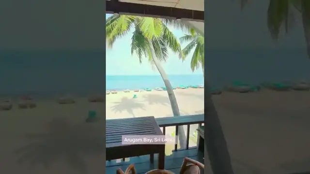 Video thumbnail for Arugam Bay Beach 🌅 Short trip mini vlog #shorts