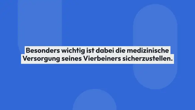 Video thumbnail for Hunde OP Versicherung Vergleich (mit Tarifrechner)