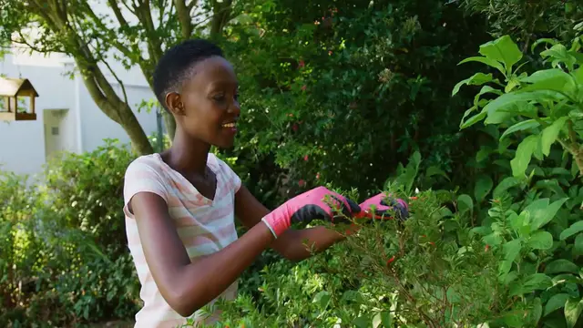 Video thumbnail for Lavender Pruning Mistakes to Avoid