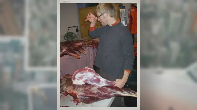 Video thumbnail for Elk vs. Deer: Exploring the Majestic Differences and Adaptations