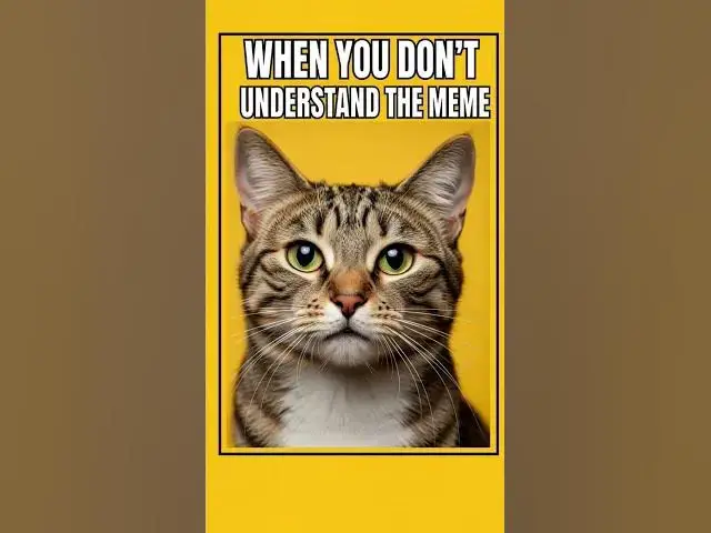 'Video thumbnail for #DreamScreenAI #ai #meme #memesdaily'