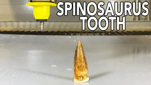 Video thumbnail for Real vs. Fake Spinosaurus Tooth: eBay Fossil Hunting Expedition