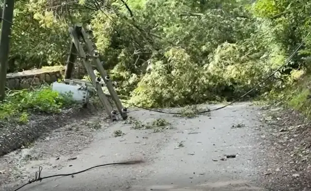 Video thumbnail for Bedford hit with downed wires as storms sweep through overnight