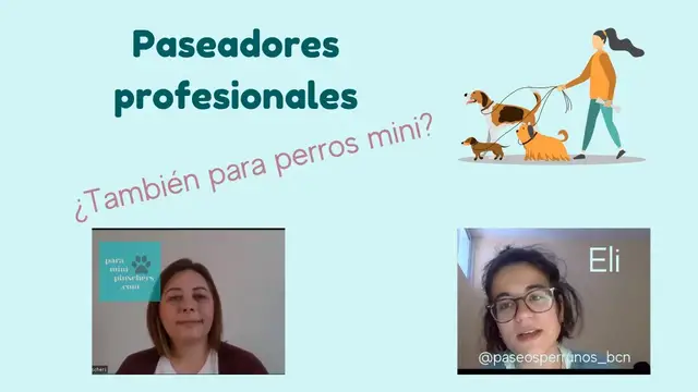 'Video thumbnail for Paseos perrunos ¿también para perros mini pinscher?🐕'