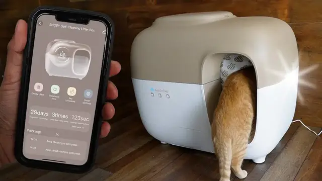 Video thumbnail for Testing Out Pet Snowy Snow+ Automatic Cat Litter Box