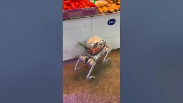 Video thumbnail for New way of visiting the market.