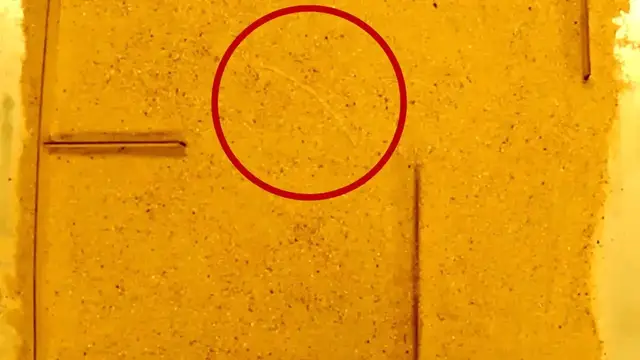 Video thumbnail for Robot navigates a maze with physical intelligence, not AI