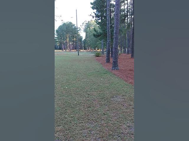 Video thumbnail for October 26, 2025