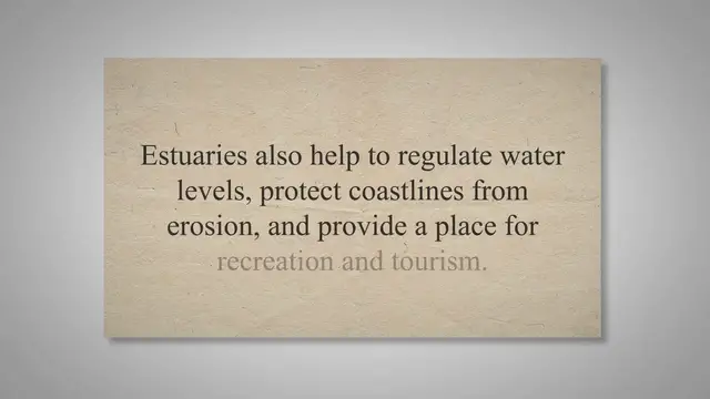 Video thumbnail for Estuaries: Importance, Threats, and Conservation