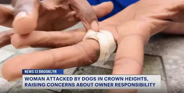 Video thumbnail for Crown Heights woman calls for greater accountability after alleged dog attack
