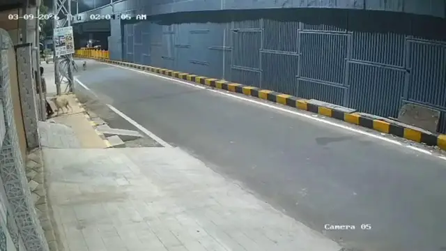 Video thumbnail for India: Woman saved from alleged sexual assault after stray dogs interrupt attack, suspect taken into custody.