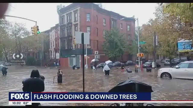 'Video thumbnail for Flash flooding and downed trees after NYC severe rainfall'